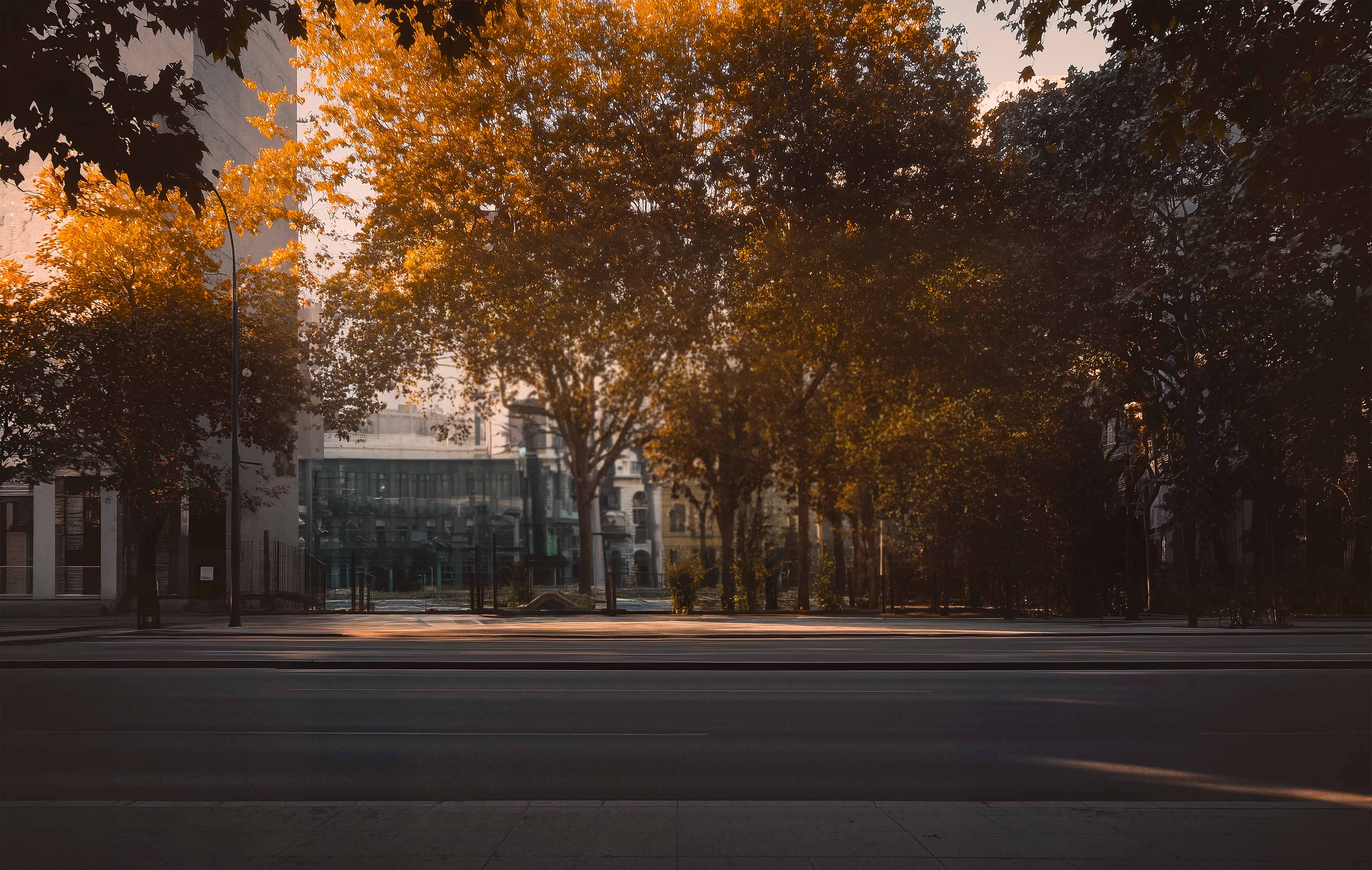 Quiet city street lined with autumn-lit trees, framing a glass-fronted civic building